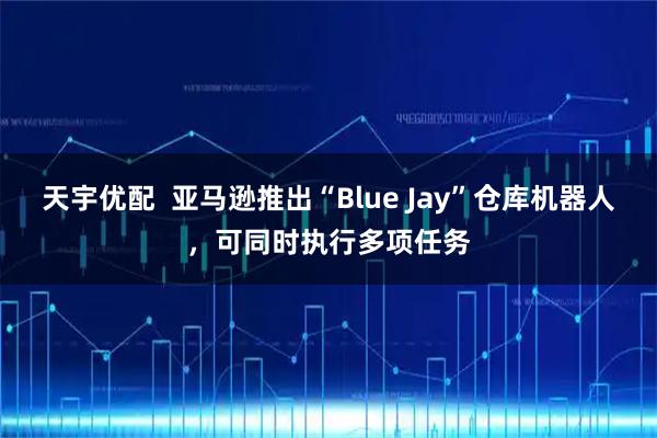 天宇优配  亚马逊推出“Blue Jay”仓库机器人，可同时执行多项任务