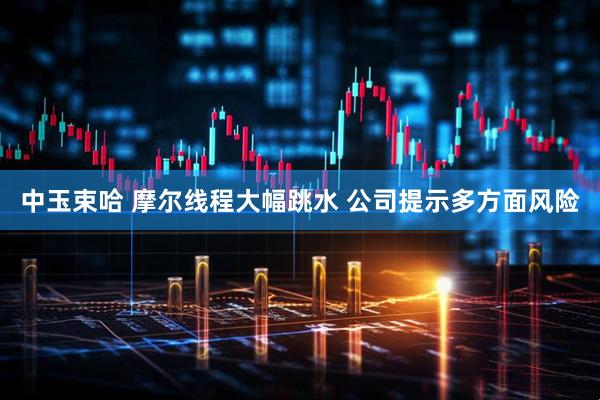 中玉束哈 摩尔线程大幅跳水 公司提示多方面风险