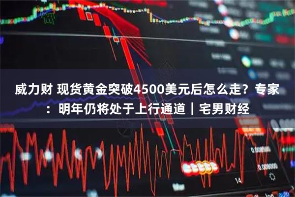 威力财 现货黄金突破4500美元后怎么走？专家：明年仍将处于上行通道｜宅男财经